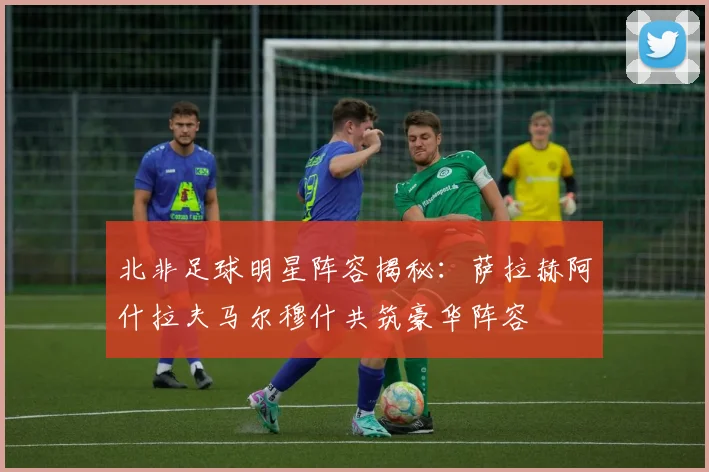 北非足球明星阵容揭秘：萨拉赫阿什拉夫马尔穆什共筑豪华阵容