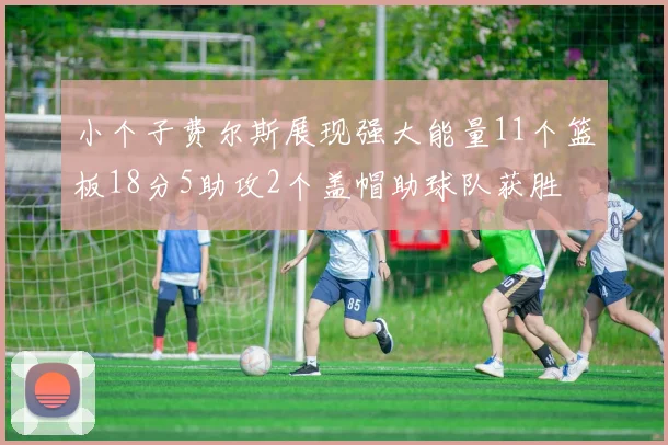小个子费尔斯展现强大能量11个篮板18分5助攻2个盖帽助球队获胜