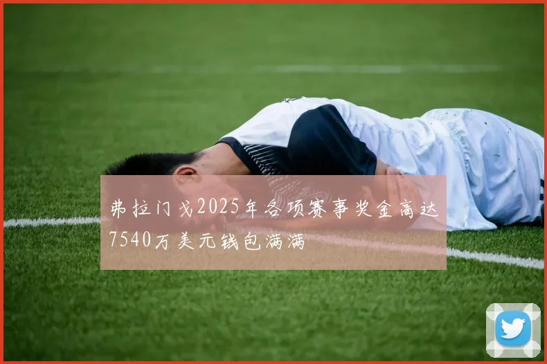 弗拉门戈2025年各项赛事奖金高达7540万美元钱包满满