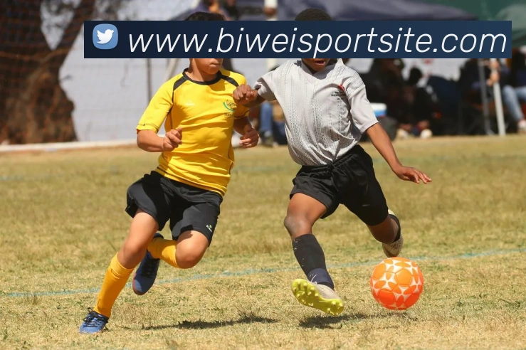 必威体育服务体系